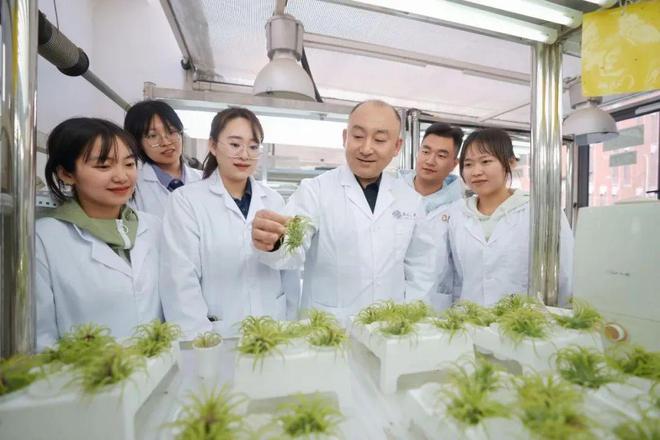 nAI将在下周发布GPT-41特斯拉副总裁回应「电动车辐射高」传闻pg电子娱乐平台苹果从印度空运600吨iPhone回美国曝Ope(图4)